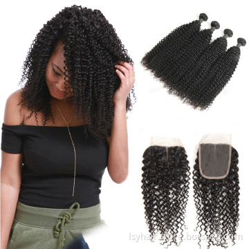 Lsy Natural Wholesale Malaysian Kinky Curly 100% Human Hair Extensions For Black Women